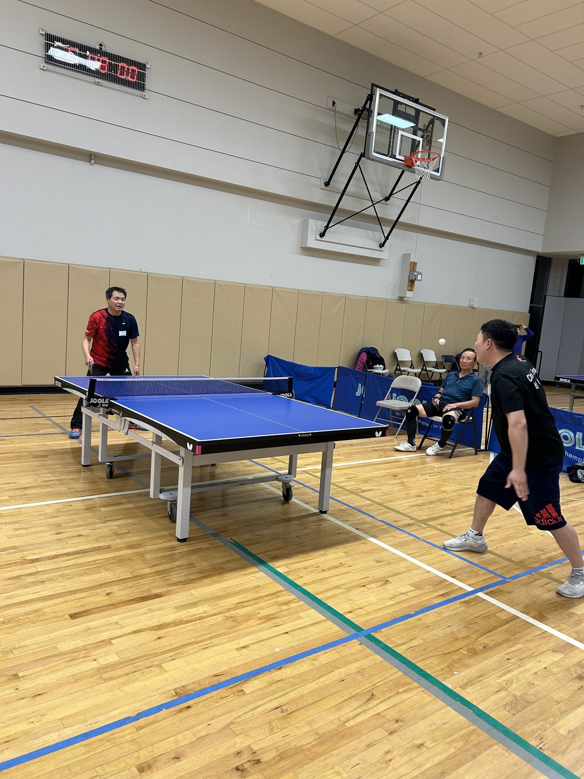 Maryland Lunar New Year Table Tennis Tournament — photo 68