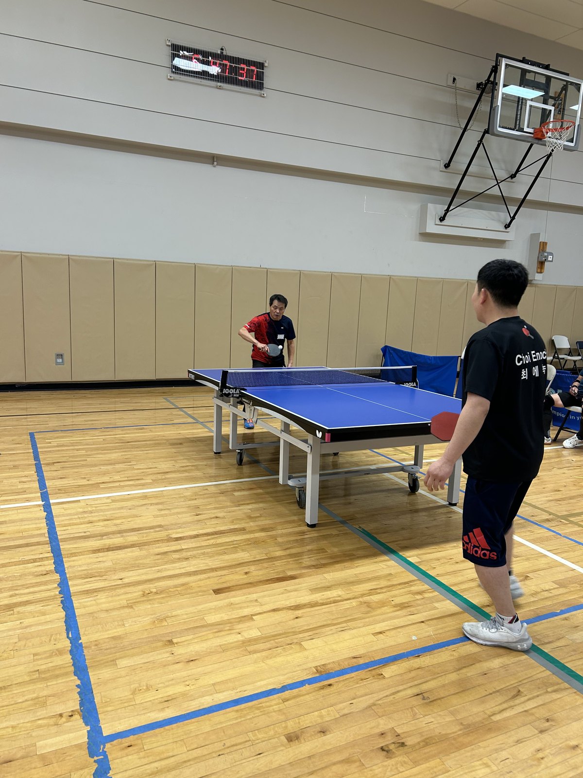 Maryland Lunar New Year Table Tennis Tournament — photo 70