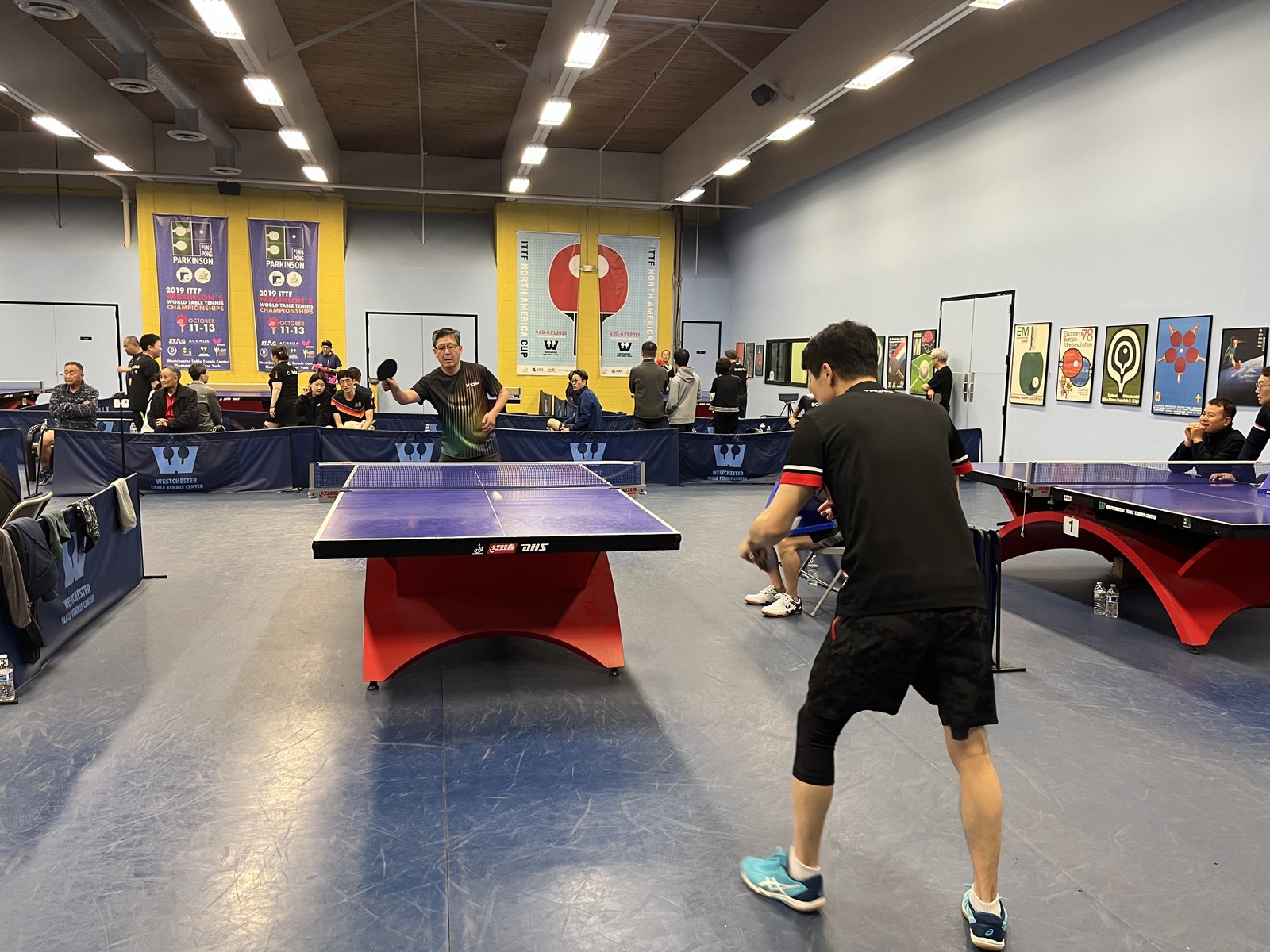 Eastern U.S. Korean Table Tennis Festival — photo 41