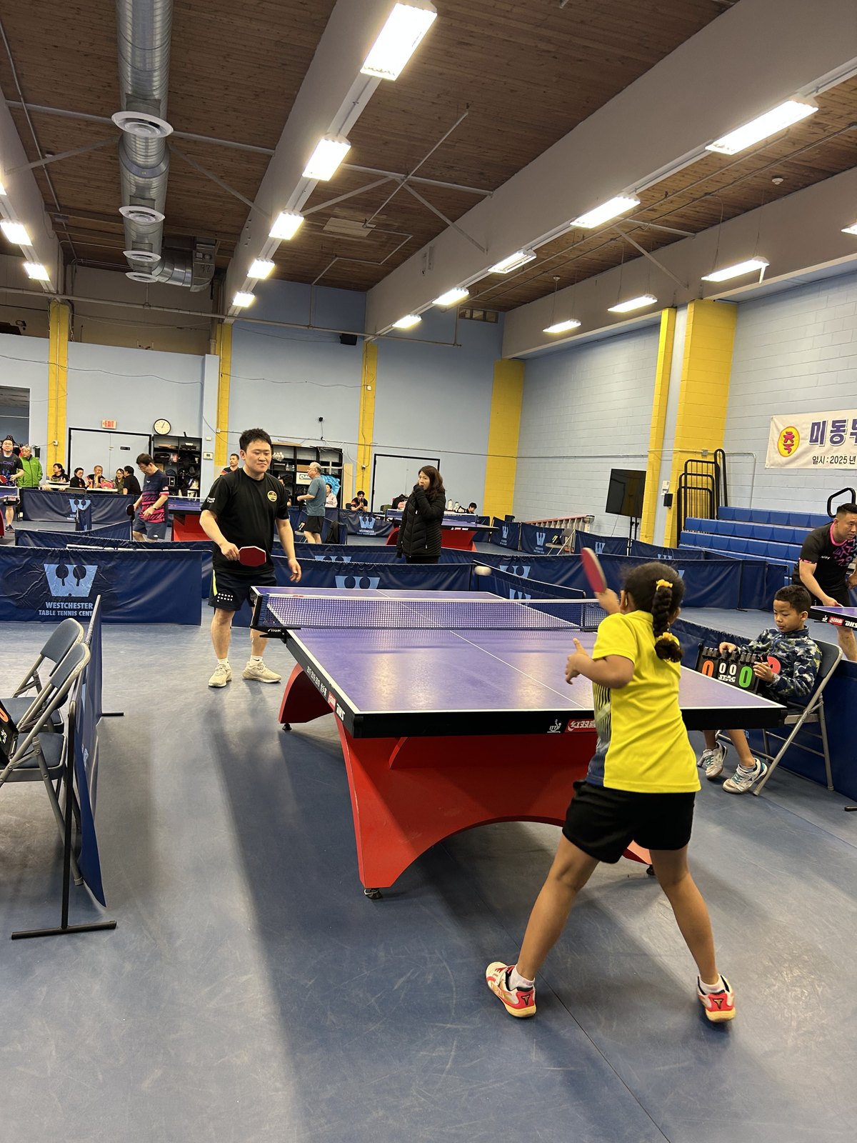 Eastern U.S. Korean Table Tennis Festival — photo 58