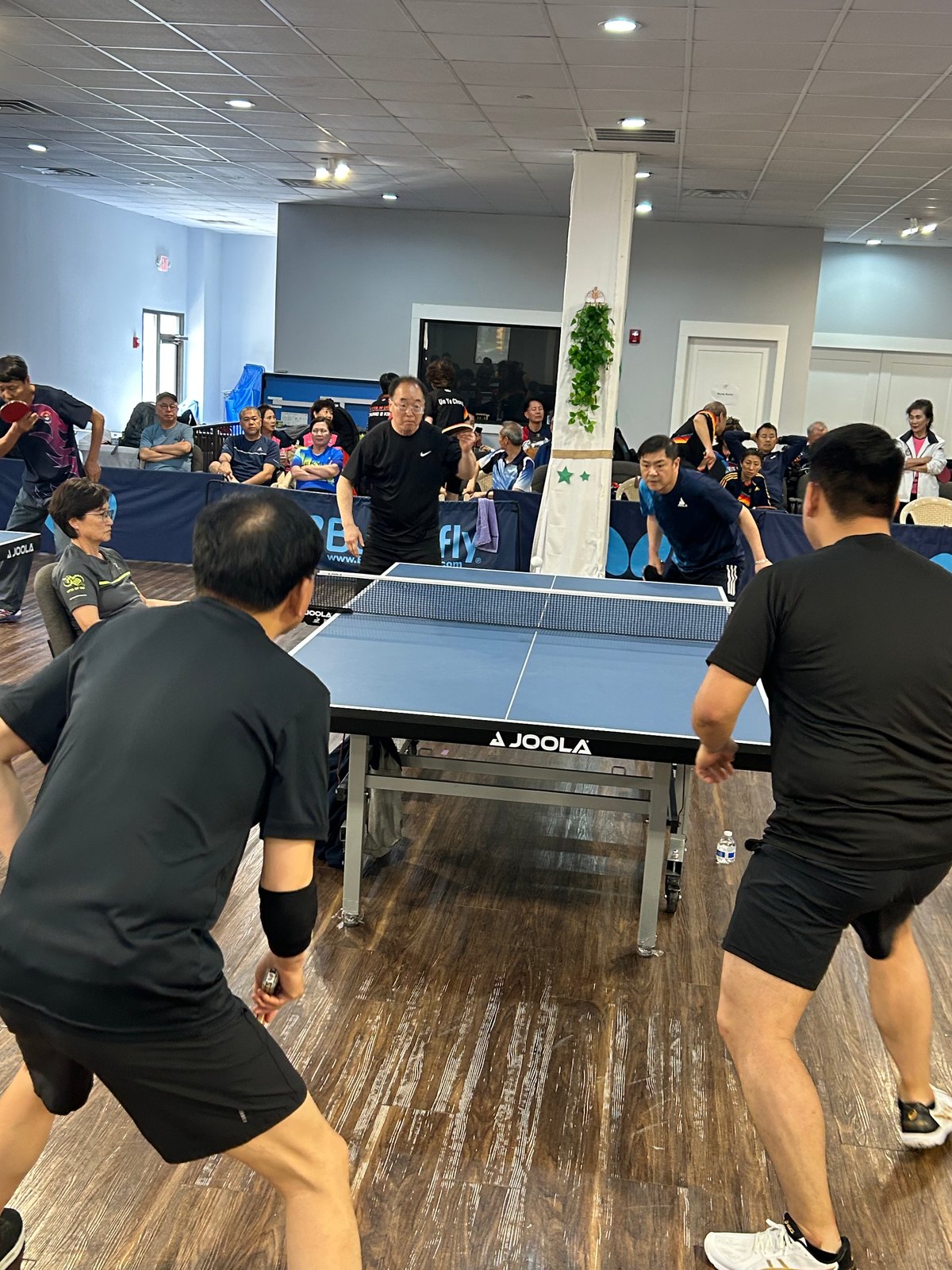 Eastern U.S. Federation (KATTAEUSA) Chairman's Cup — photo 51